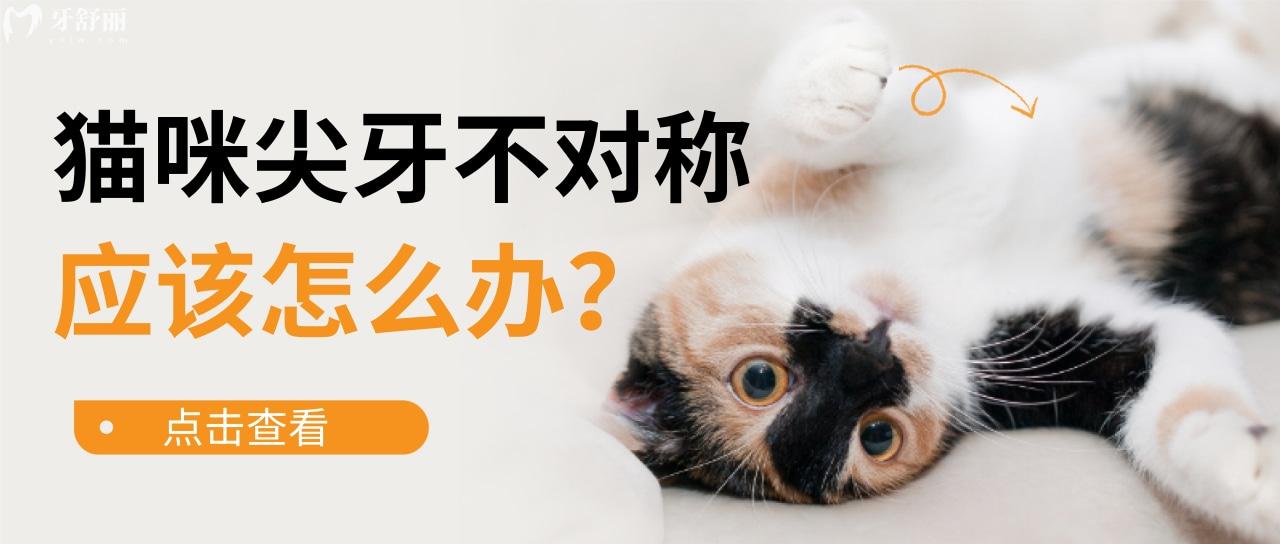 貓咪的牙齒為什么有的是兩個(gè)尖牙,有的是一個(gè)呢