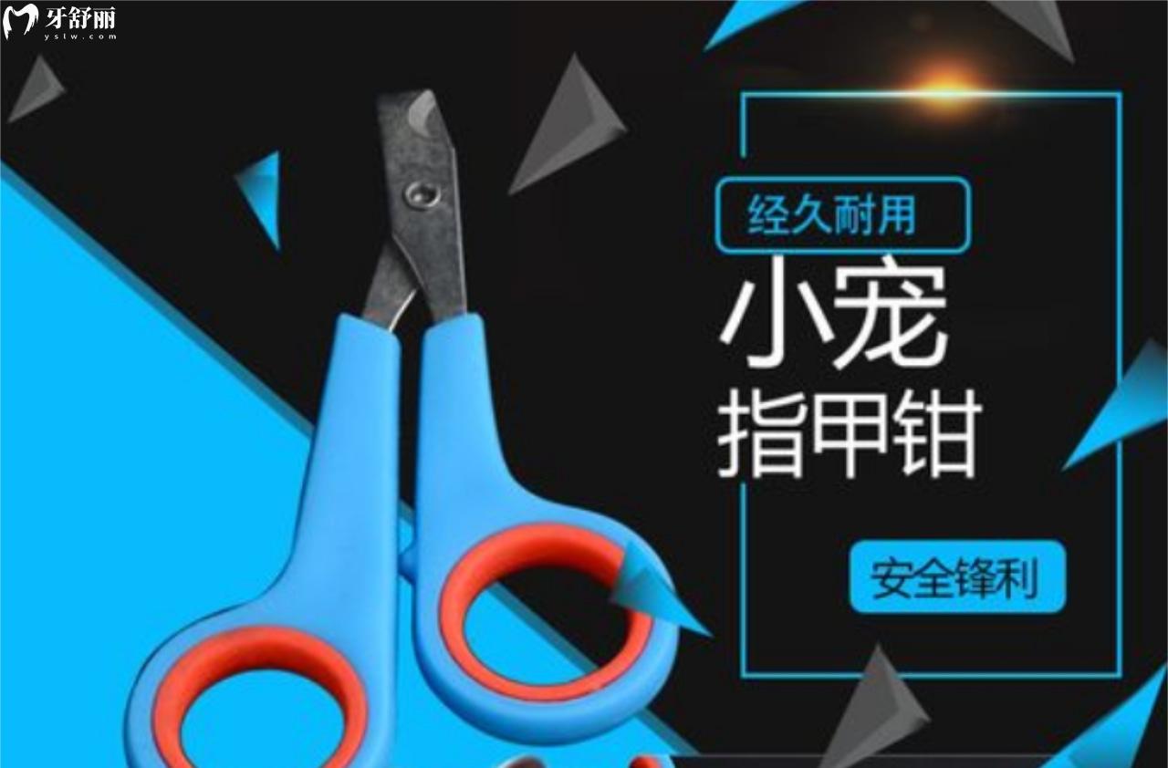 寵物專用鉗