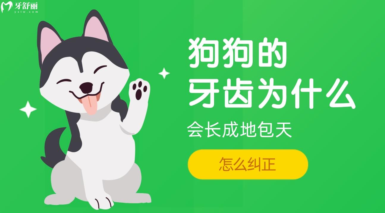 狗狗的牙齒為什么會長成地包天,探詢狗狗地包天怎么糾正!