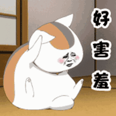 牙套究竟怎么選擇好壞，什么樣的人像我一樣需要正畸呢