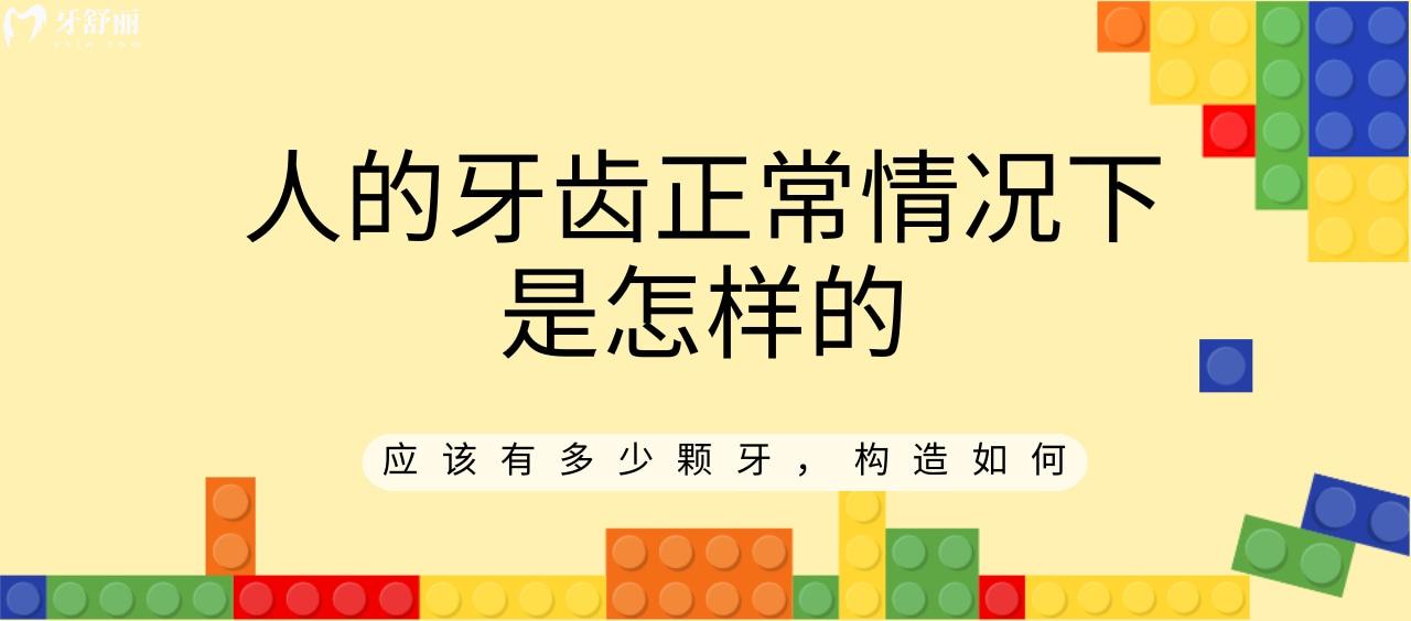 人的牙齒正常情況下是怎樣的 一般有多少顆牙