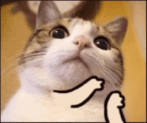 搞笑.gif