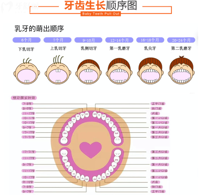 家長(zhǎng)注意啦！孩子這顆牙一生不會(huì)換現(xiàn)在保護(hù)來(lái)得及