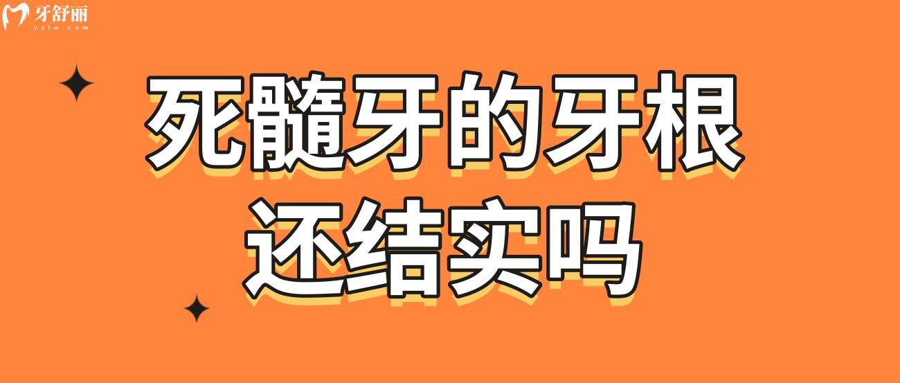 死髓牙的牙根還結(jié)實嗎.jpg
