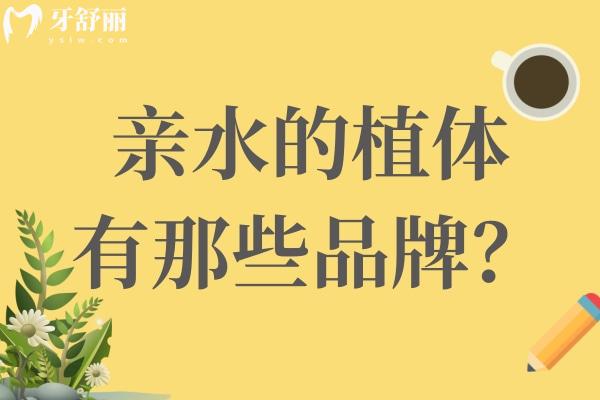 親水的植體有那些品牌