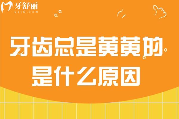 牙齒總是黃黃的是什么原因