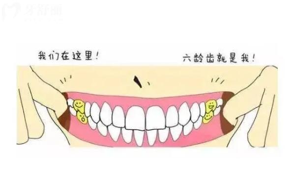 “六齡齒”壞了怎么辦？及時補，不然會缺牙！