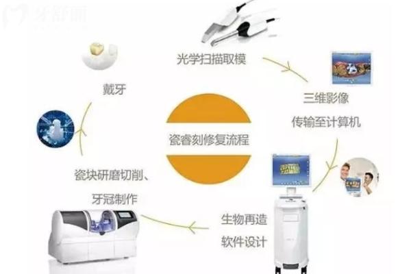 800元的全瓷牙能用嗎？