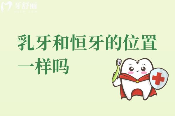 乳牙和恒牙的位置一樣嗎