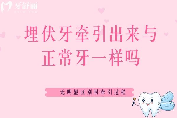 埋伏牙牽引出來與正常牙一樣嗎