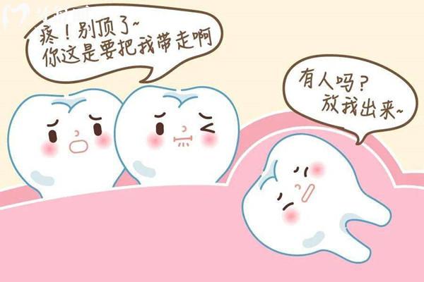 埋伏牙牽引出來與正常牙一樣嗎