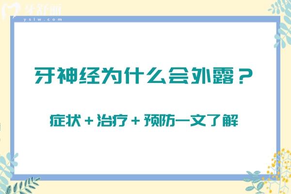 牙神經(jīng)為什么會外露？癥狀＋治療＋預(yù)防一文了解