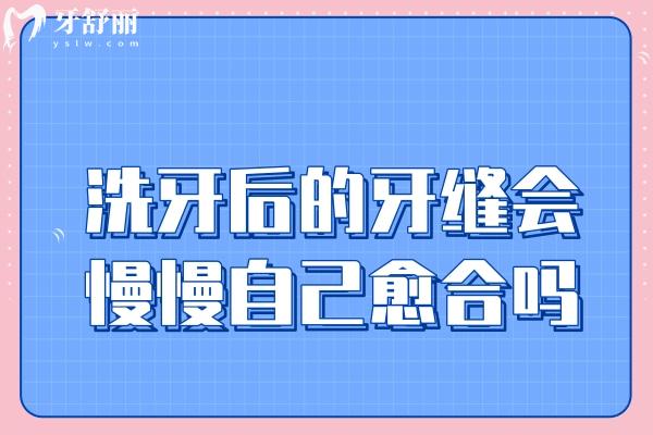 洗牙后的牙縫會慢慢自己愈合嗎？
