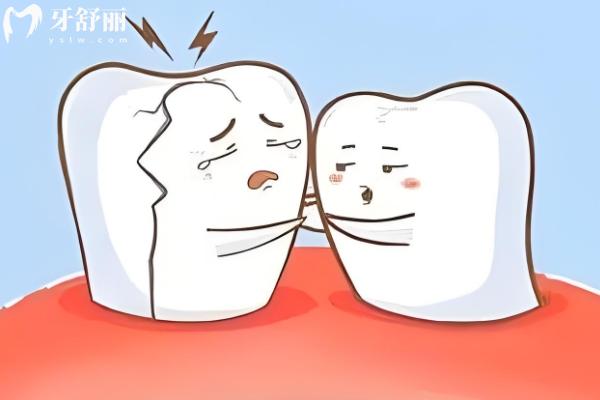 瓜子牙的傷害