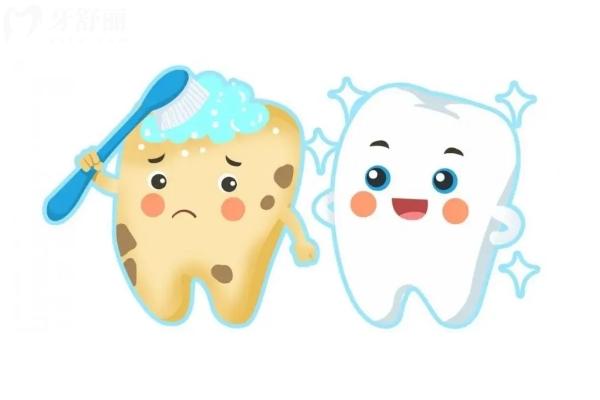 牙齒不好會損傷腸胃健康？會的，保護好牙齒可以避免多種問題