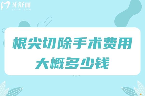 根尖切除手術(shù)費用大概多少錢