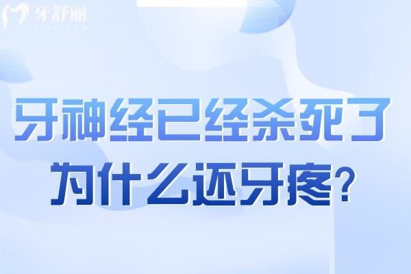 牙神經(jīng)