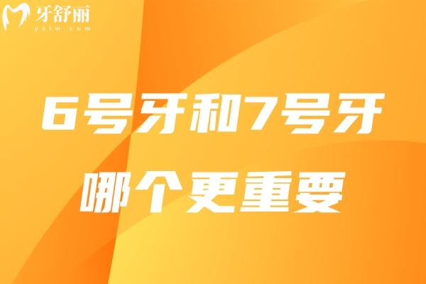 6號牙和7號牙哪個更重要