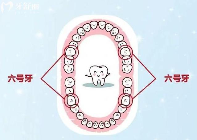 醫(yī)生說7號牙拔了不用種是真的嗎