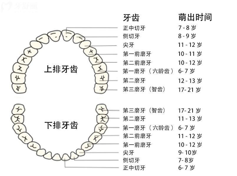 為什么牙齒缺失醫(yī)生建議做種植牙