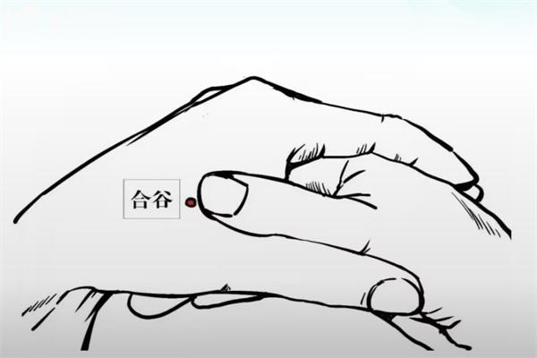 合谷穴位置圖片