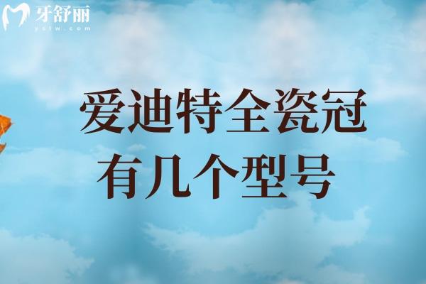 迪特全瓷冠有幾個(gè)型號(hào) 