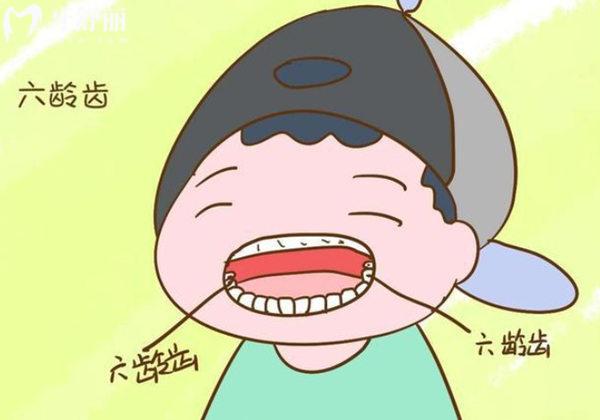 什么是六齡齒