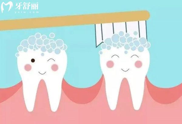 六齡齒一輩子都不會換嗎