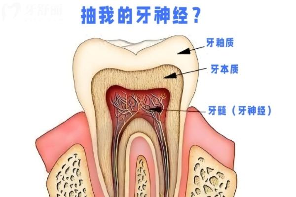 殺神經(jīng)和根管治療是一回事嗎？
