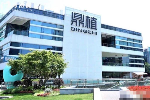 上海鼎植口腔醫(yī)院價目表