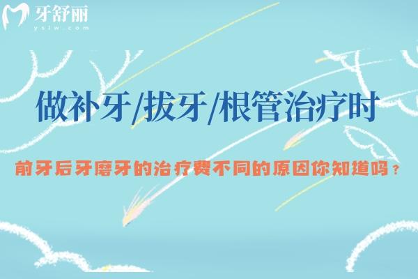 做補牙/拔牙/根管治療時 前牙后牙磨牙的治療費不同的原因你知道嗎?