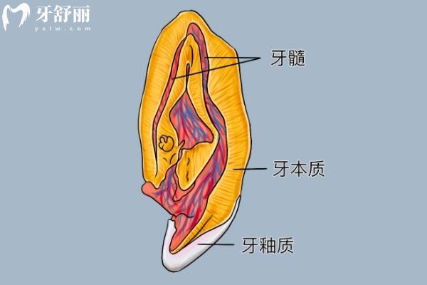 牙內(nèi)陷