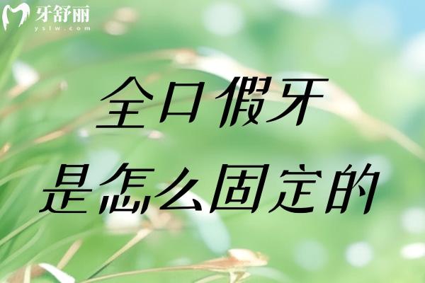 全口假牙是怎么固定的