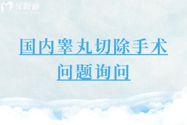 國內(nèi)睪丸切除手術(shù)問題詢問