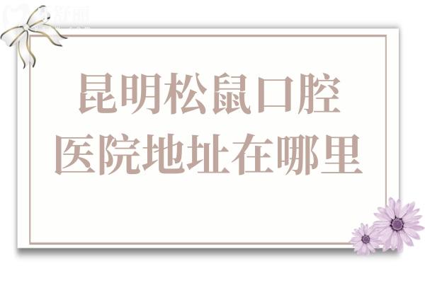 昆明松鼠口腔醫(yī)院地址在哪里?地址(西山區(qū)海埂路238號(hào))