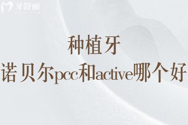 諾貝爾pcc和active哪個好 詳細區(qū)別就在不同設(shè)計/適用人群及價格差異