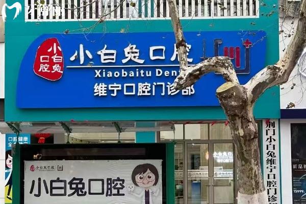 荊門小白兔口腔門店