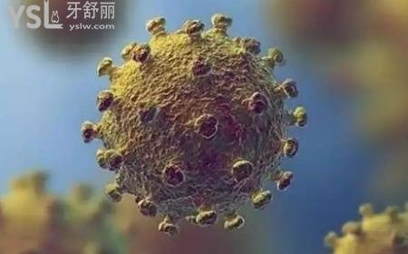新冠的弱點(diǎn)是什么？