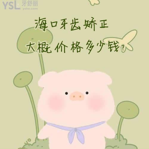 海口牙齒矯正大概價格多少錢，價格表外討論下一般?？谡募裔t(yī)院好