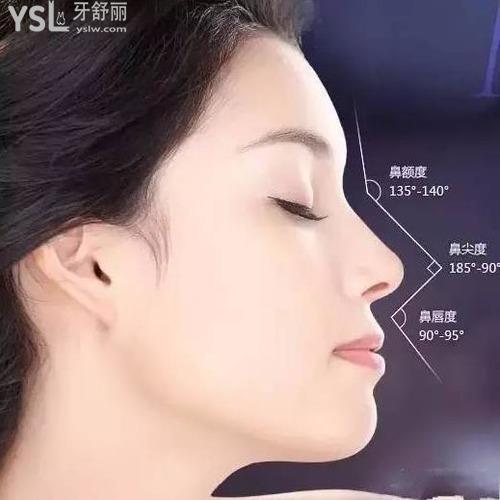 隆鼻耳軟骨需要多少錢？