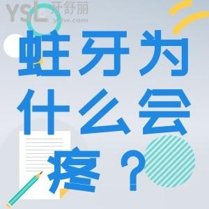 蛀牙為什么會疼？