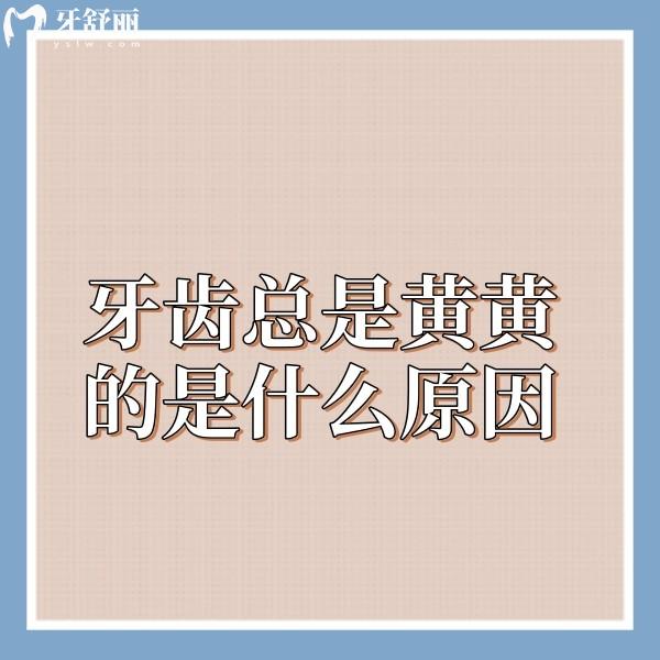 分析牙齒總是黃黃的是什么原因?并分享牙齒美白的方法牙貼面和冷光美白