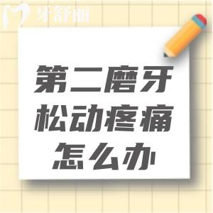 第二磨牙松動(dòng)疼痛怎么辦?