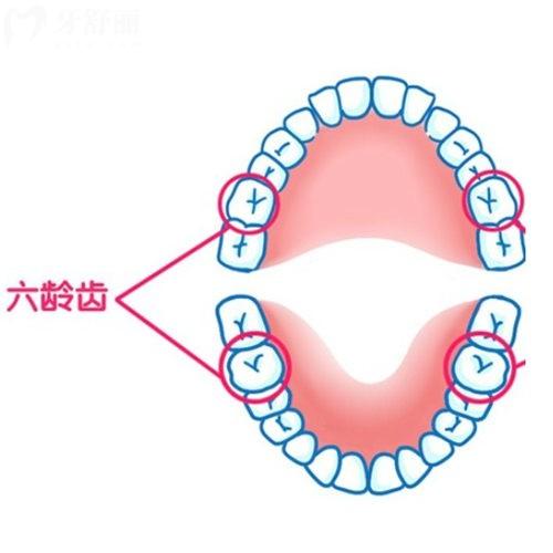 你把孩子的六齡齒保護(hù)好了嗎?保護(hù)孩子六齡齒的方法在這里