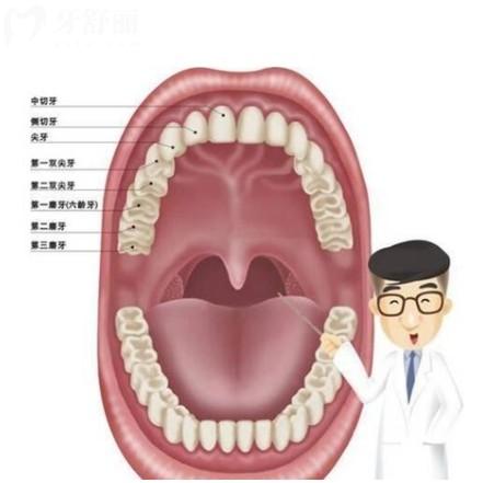 正常牙齒數(shù)量是多少顆？